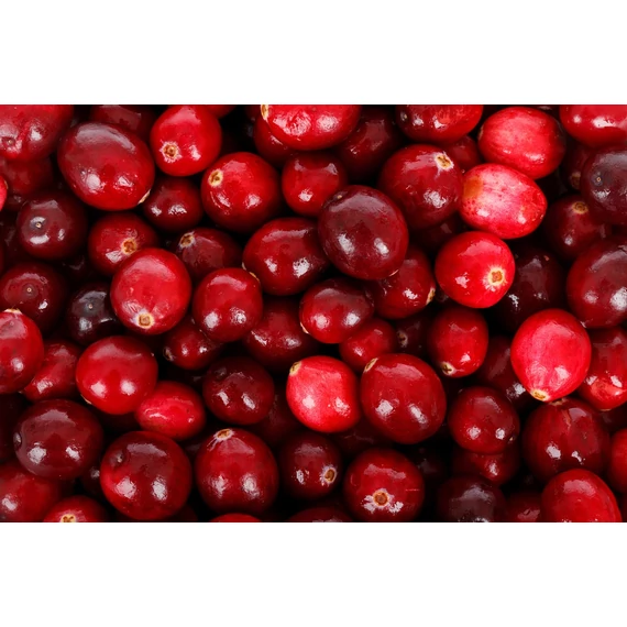tőzegáfonya bogyós gyümölcs Vaccinium macrocarpon